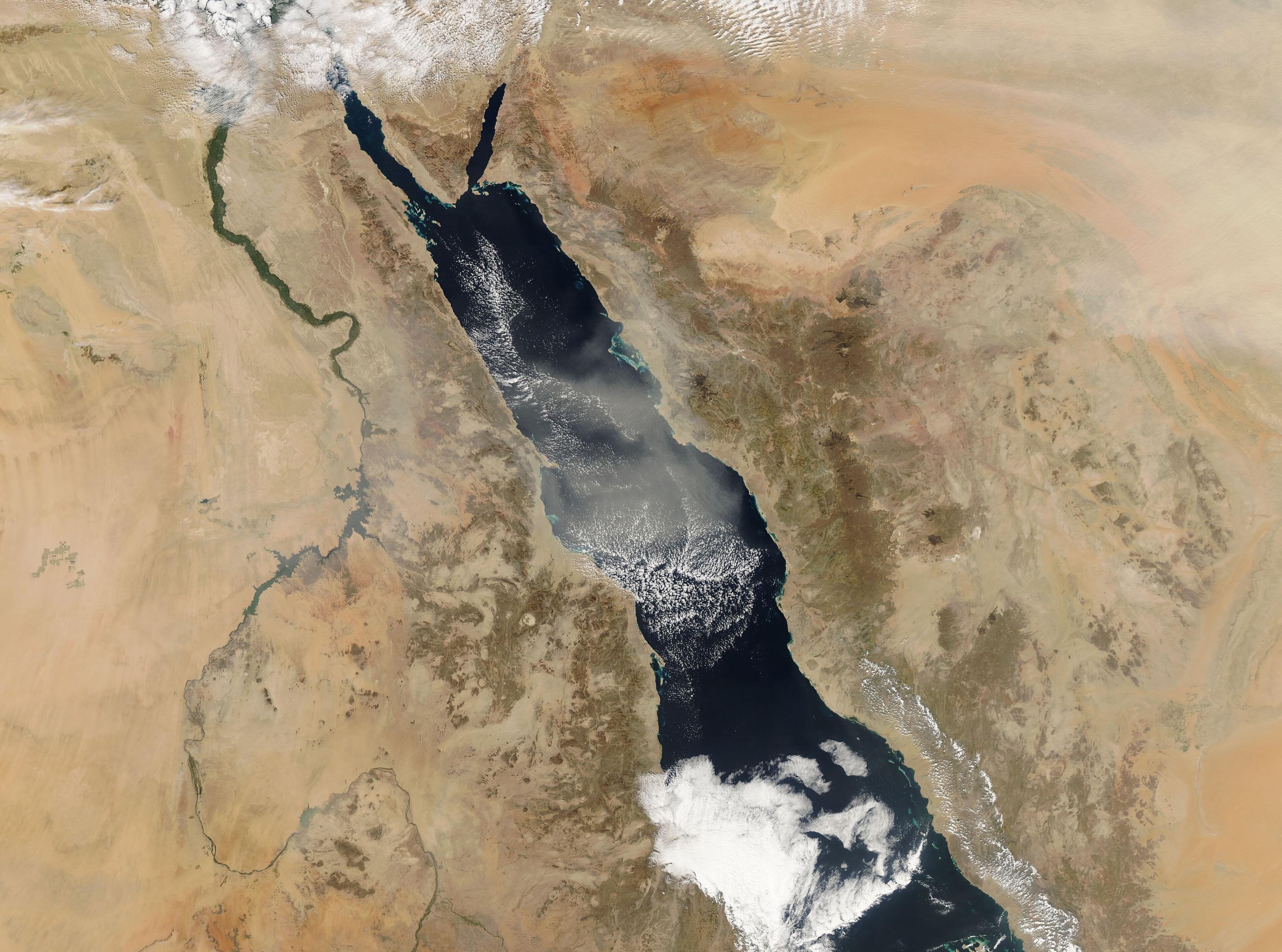 Dust plumes streaming over the Red Sea, seen by NASA’s MODIS instrument